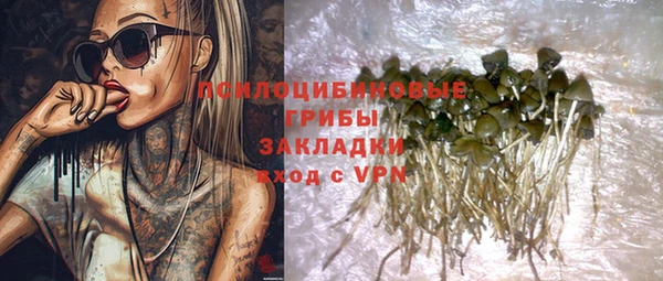 прущие крисы Алексин