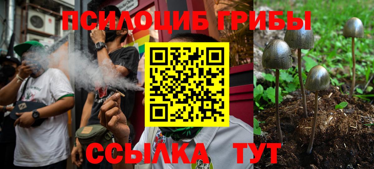 Галлюциногенные грибы MAGIC MUSHROOMS Сибай