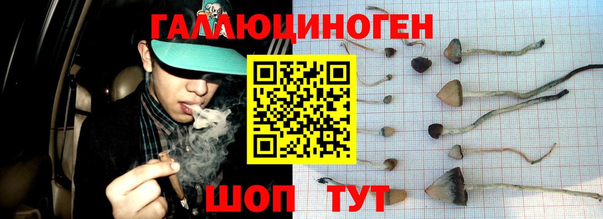 NBOMe Сибай